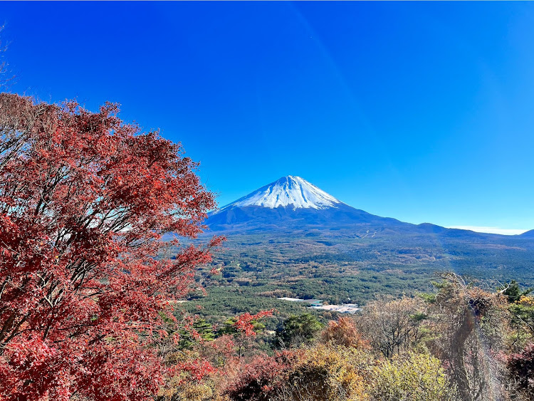 の投稿画像3枚目