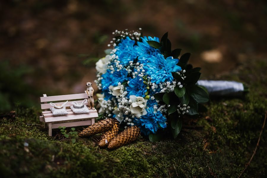 Fotógrafo de bodas Ivan Ilin (snimykrasivo). Foto del 11 de noviembre 2016