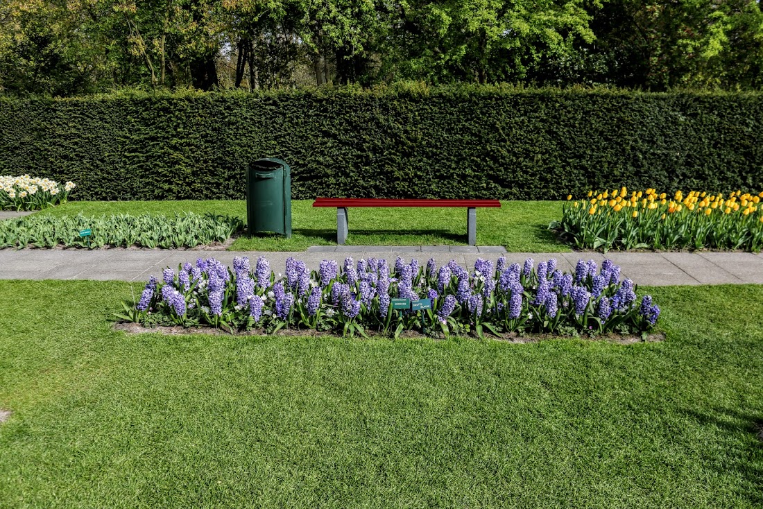 Парк Keukenhof, Ouddorp и Rotterdam "на закуску" - апрель 2017