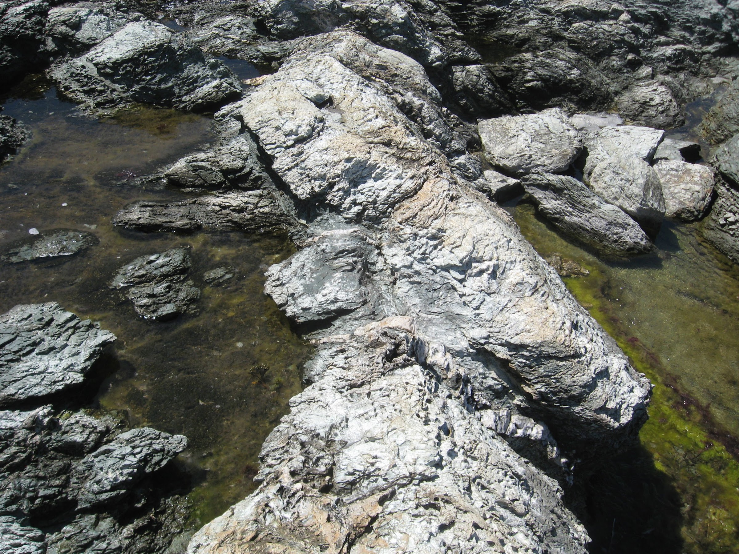 tide pools at Brenton Point State Park
