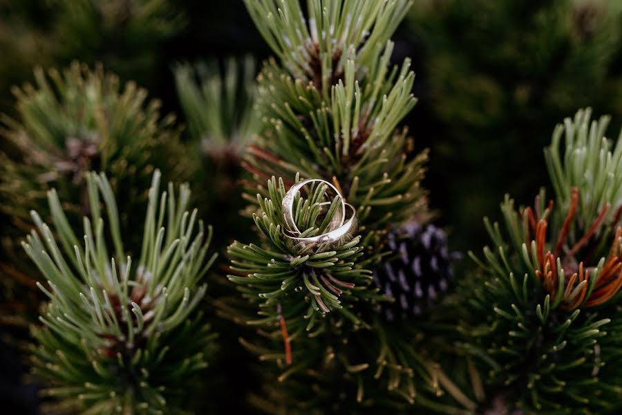 Fotografo di matrimoni Bohuš Dzugas (bohusik). Foto del 16 agosto 2023