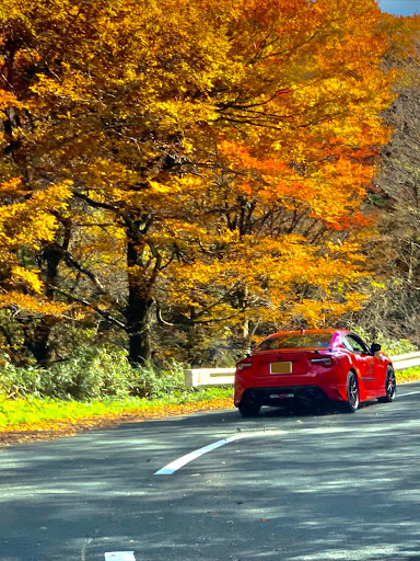 86 Zn6の家族サービスは大事 86 ドライブ 四国カルスト 紅葉と愛車に関するカスタム メンテナンスの投稿画像 車のカスタム情報はcartune