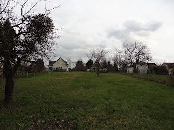 terrain à Sainte-genevieve-des-bois (45)