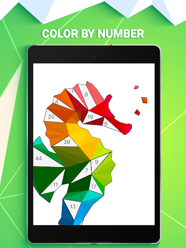 POLYGON: Color by Number