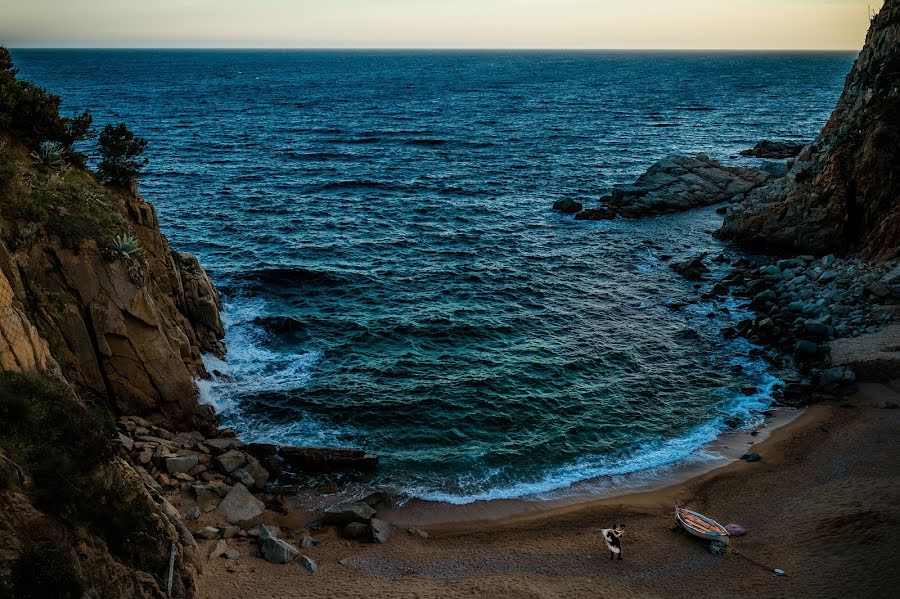 Fotógrafo de bodas Marius Dragan (dragan). Foto del 16 de marzo 2015