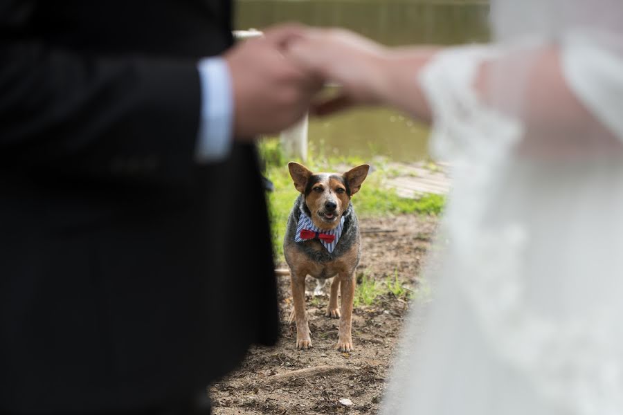 結婚式の写真家Maria Fleischmann (mariafleischman)。2018 10月10日の写真