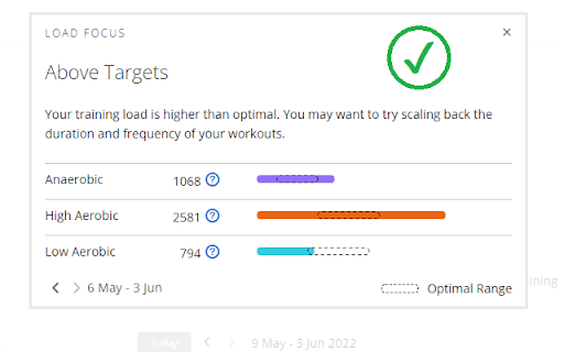 Garmin Connect Web Missing LoadFocus Fixer