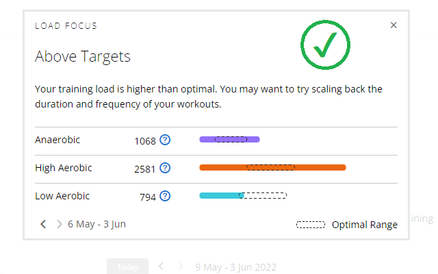 Garmin Connect Web Missing LoadFocus Fixer Preview image 1