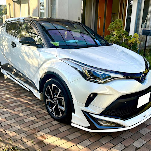 C-HR ZYX11