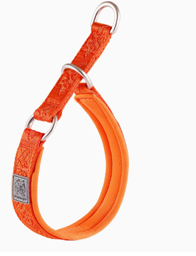 Title 4, P Chain Dog Walking Collar for secure and contr...