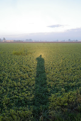 Effetto "santo" di riky