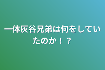 一体灰谷兄弟は何をしていたのか！？