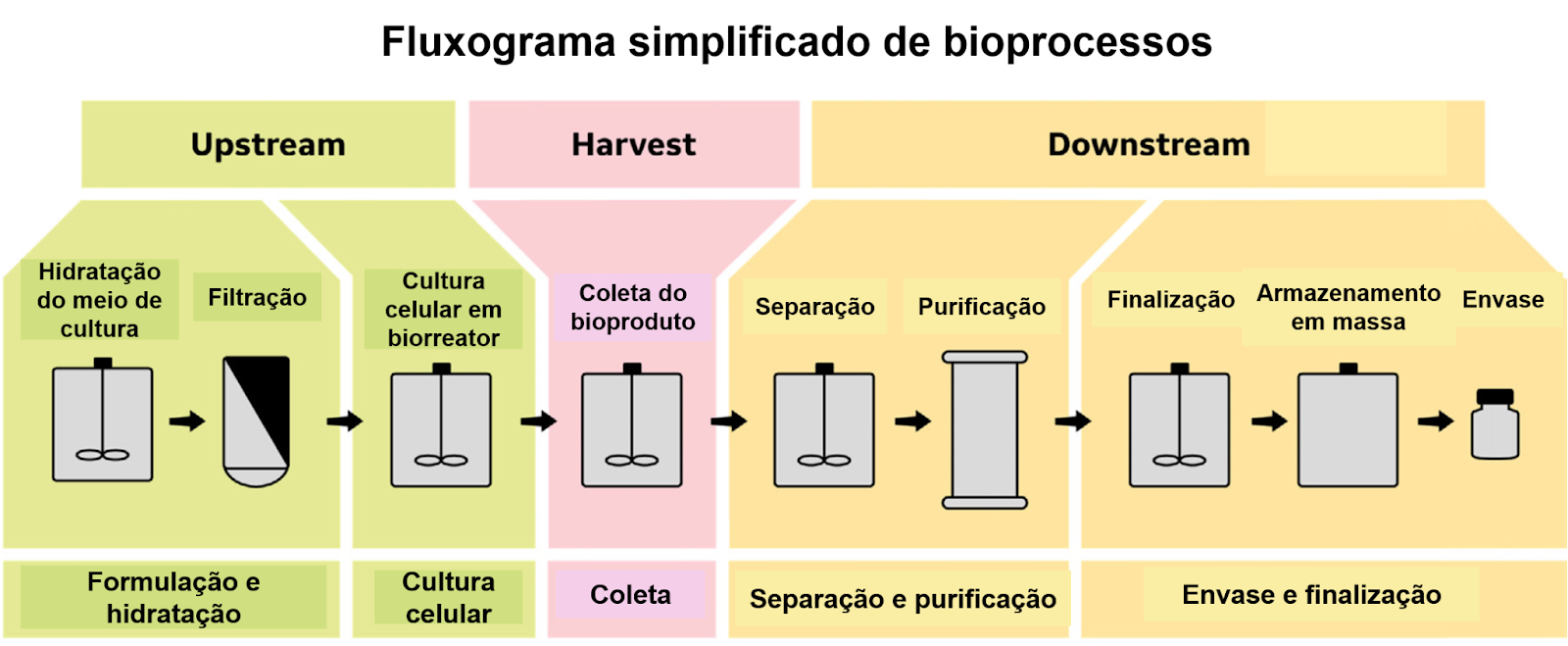 Fluxograma das etapas essenciais de um bioprocesso.