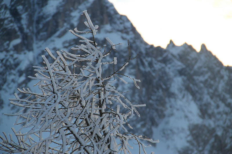 Snow view di Paliu