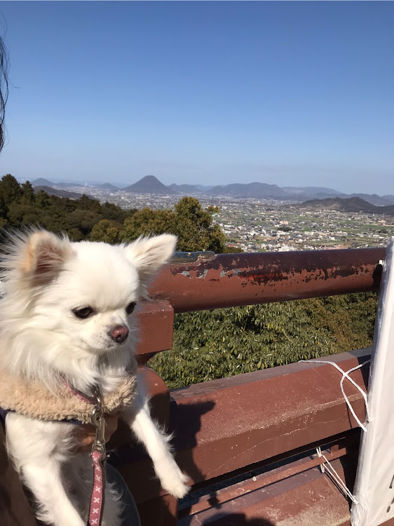フォレスターのCOZYさんが投稿したカスタム事例の投稿画像3枚目