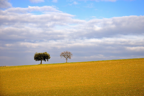 in due tra cielo e terra di Luporosso