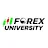 Forex University icon