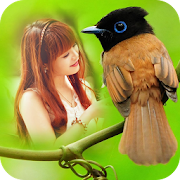 Bird Photo Frames 1.2 Icon