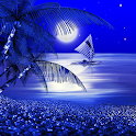 Night Beach Live Wallpaper