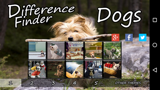 Difference Finder Dogs