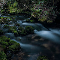 Rio Cuervo di 