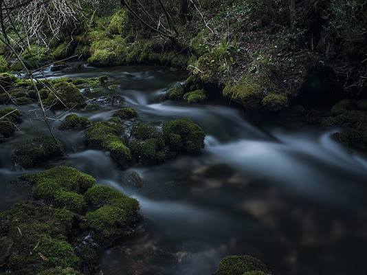 Rio Cuervo di Robin Udo