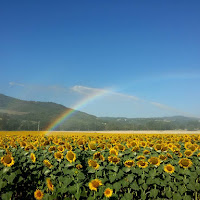 Tempo d'estate di 