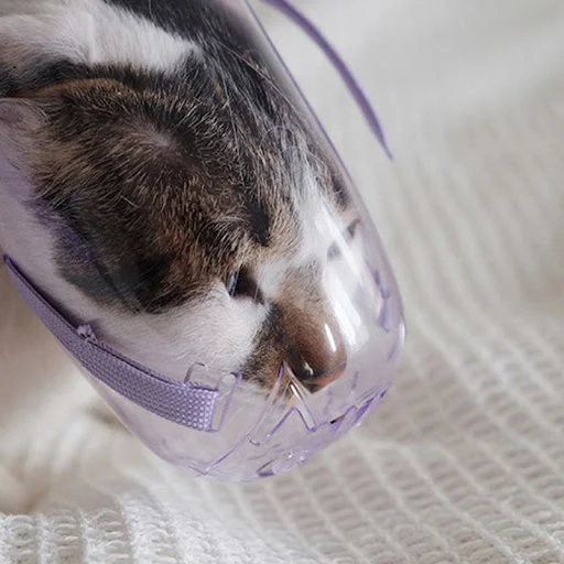 Breathable Cat Dog Muzzle Anti-bite Grooming Mask Pet Kitten Mouth Mask Cover Muzzle for a Cat Bath Cleaning Tool