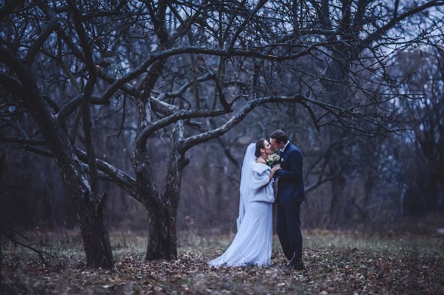 Hochzeitsfotograf Roman Isakov (isakovroman). Foto vom 27. März 2013