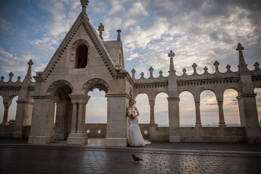 Φωτογράφος γάμων Oleksandr Dikhtiar (weddingtrip). Φωτογραφία: 2 Νοεμβρίου 2022