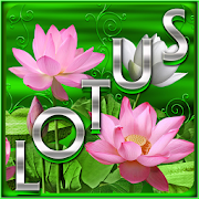 Free Lotus Go Launcher theme