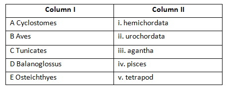 Classification of Animal Kingdom