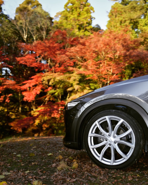 CX-8のCX-8・紅葉・ドライブに関するカスタム事例の投稿画像2枚目