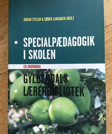 Specialpædagogik - En grundbog