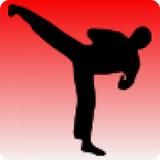 Taekwondo training  Icon