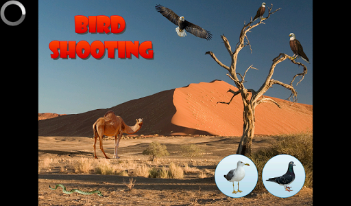 Pigeon - Birds Shooting 3D