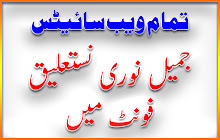 MindRoasterMir Urdu Web small promo image