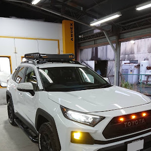 RAV4 MXAA54