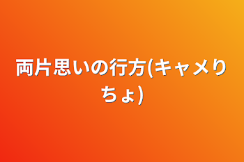 両片思いの行方(キャメりちょ)