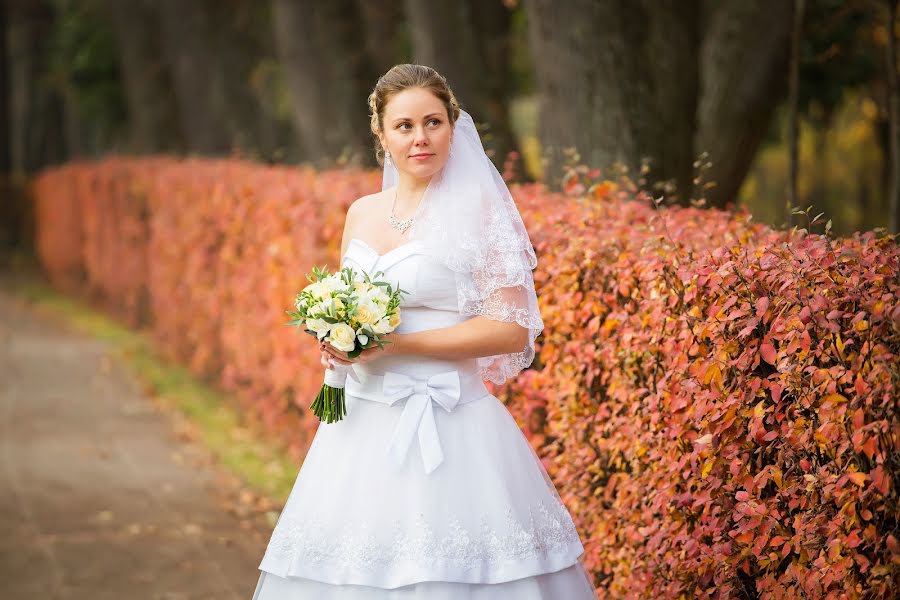 Bryllupsfotograf Galina Zhikina (seta88). Bilde av 16 september 2016