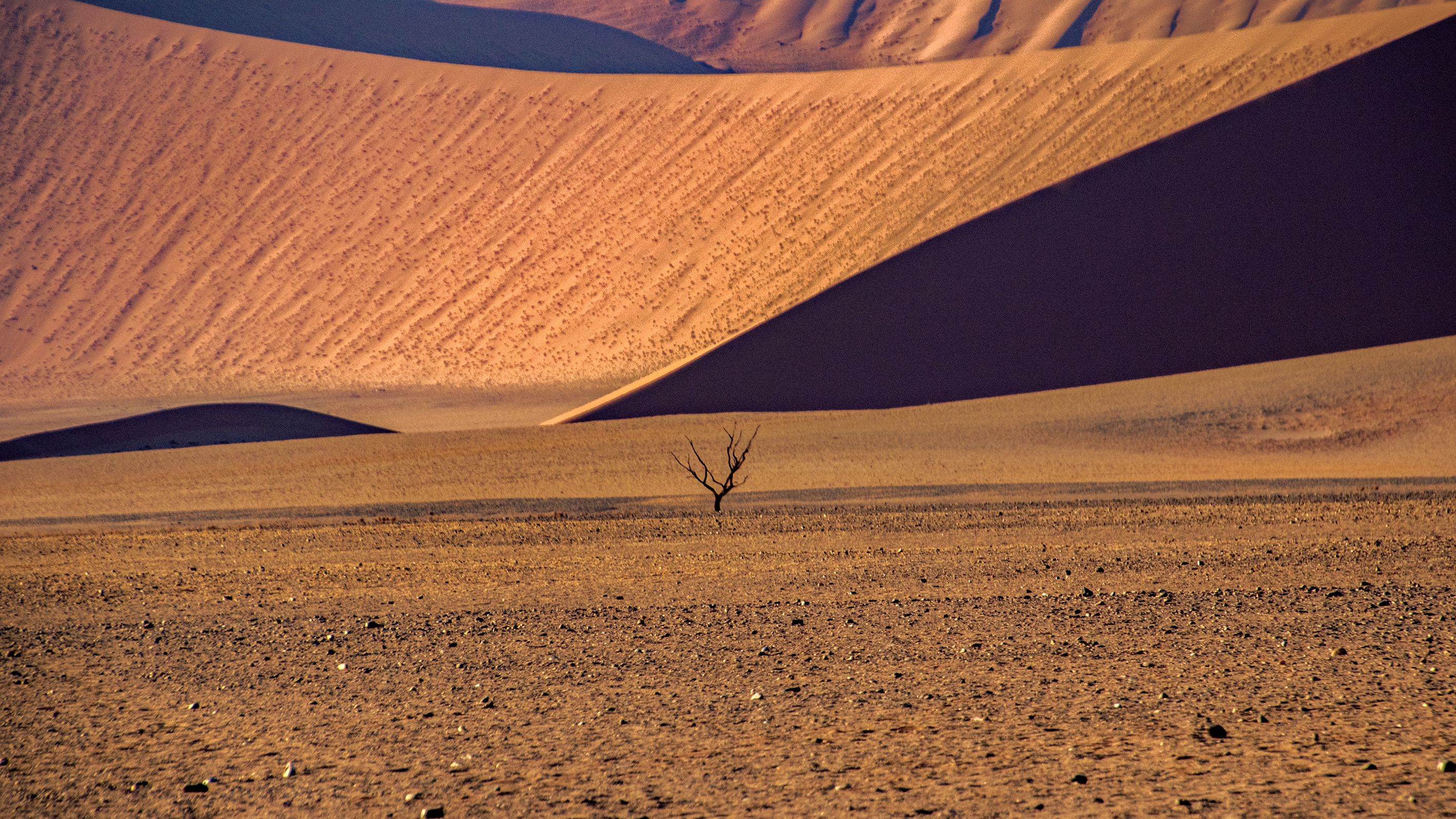 Namib desert di Nefti-Monica