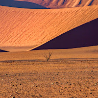 Namib desert di 