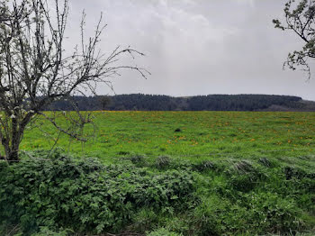 terrain à Arpajon-sur-Cère (15)