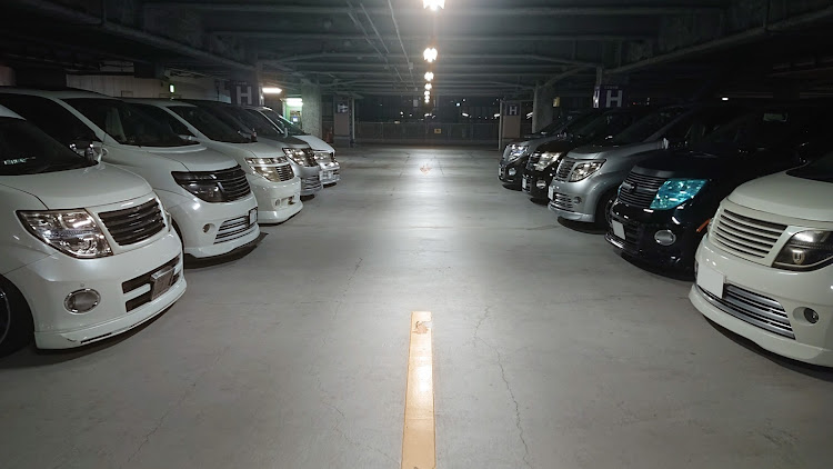 エルグランドの完成・E51保存会・オールペン・ザナグリに関するカスタム事例の投稿画像3枚目