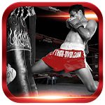 Muay Thai Training & Technique Apk