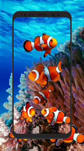 4K Wallpapers - HD  QHD Backgrounds