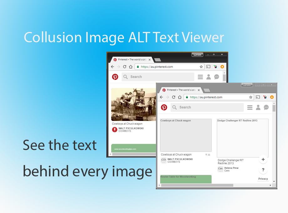 Collusion Image Alt Text Viewer Preview image 1