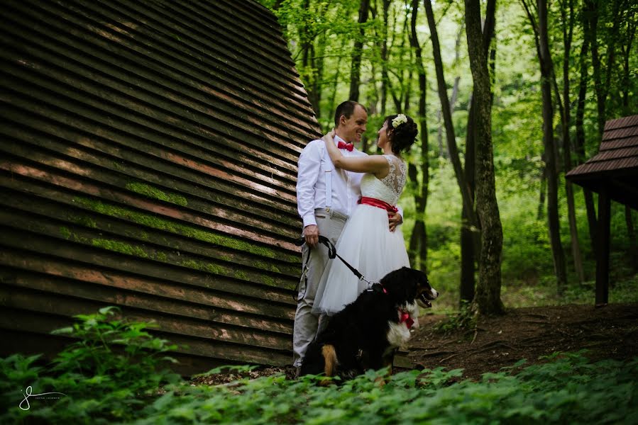 Fotógrafo de casamento Jozsa Levente (jozsalevente). Foto de 7 de julho 2017