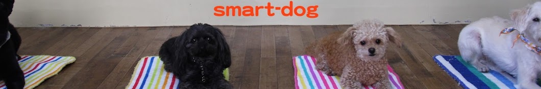 犬のしつけsmart-dog Banner