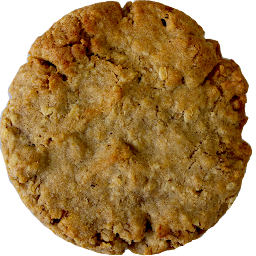 Vegan Gluten-Free Oatmeal Raisin Cookie